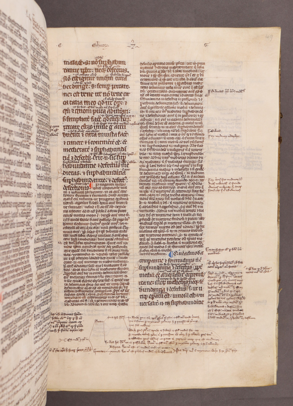 Folio 49 recto